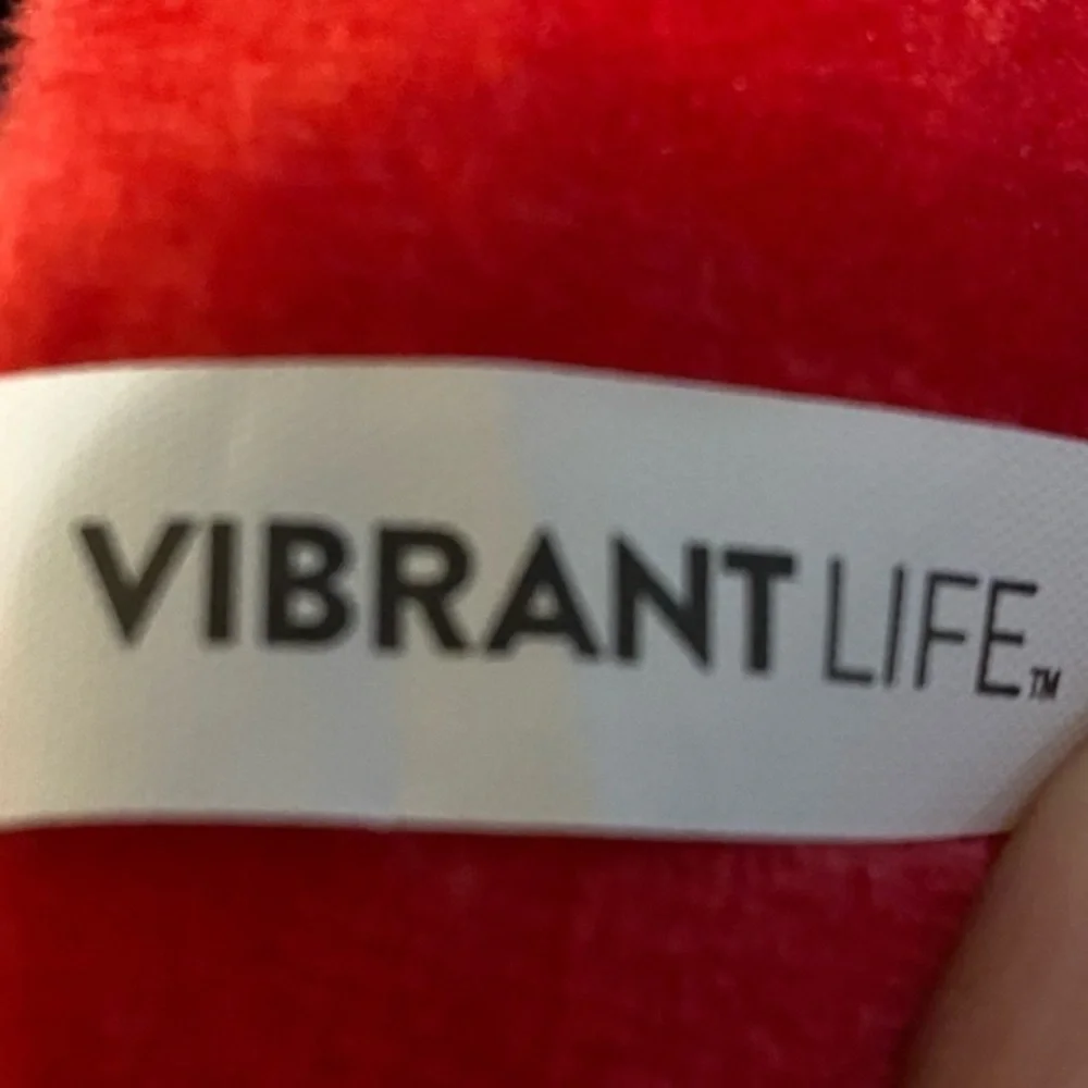 New Dog Squeaky Toy Vibrant Life  Chew‎ Level 2